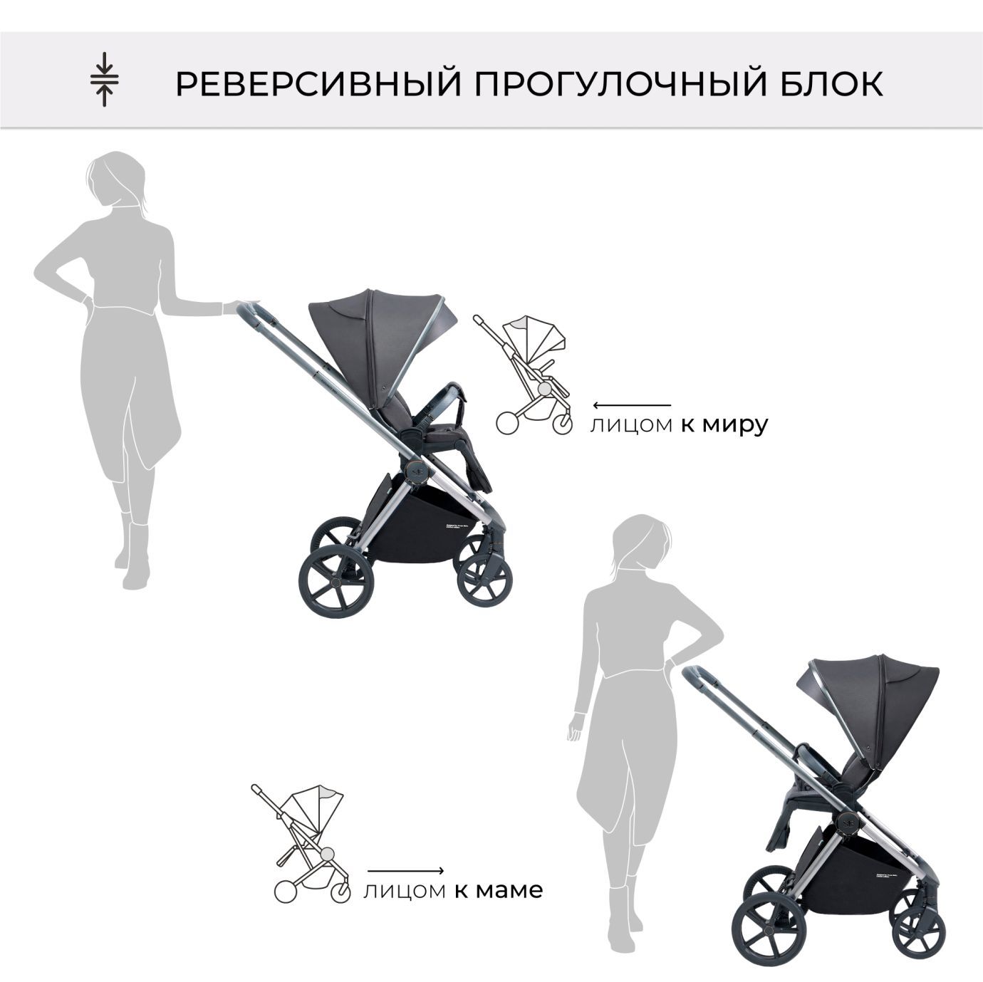 Коляска Elegante BRD