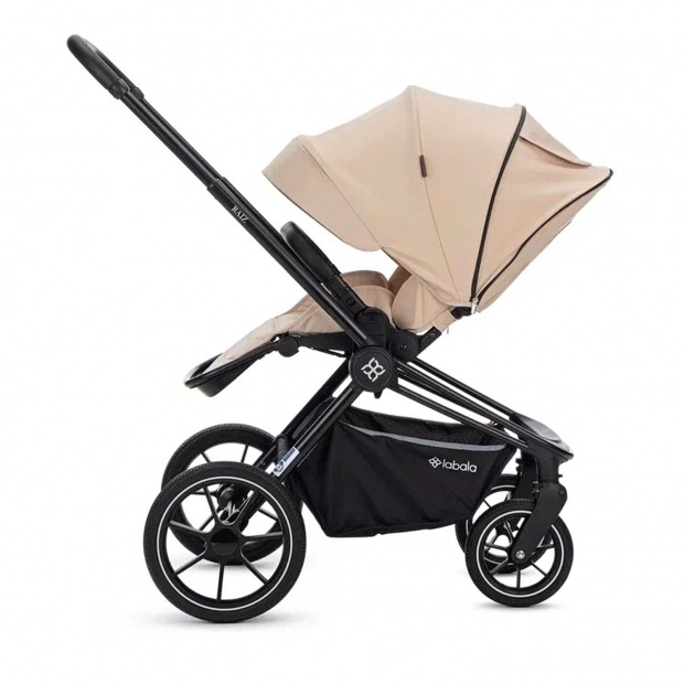 Детская коляска 2 в 1 RAIZ new