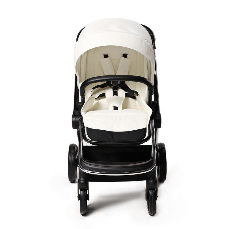 Прогулочная коляска Labala Raiz 2021