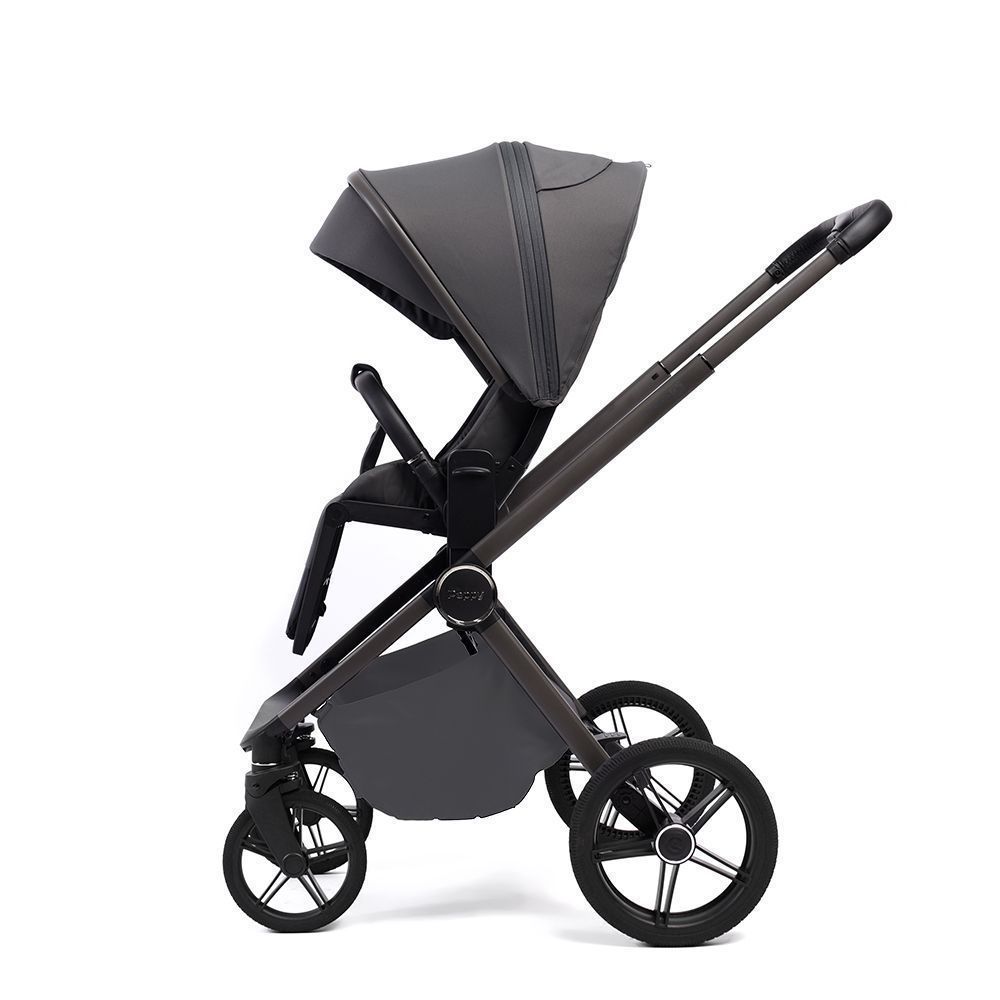 Коляска 2в1 Peppy Monaco Plus Antrazit (рама серая)