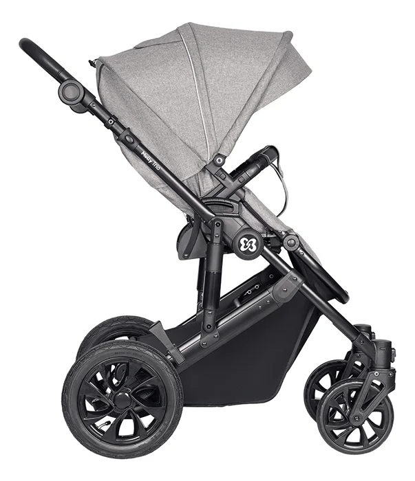 Коляска модульная 3в1 Molly Trio