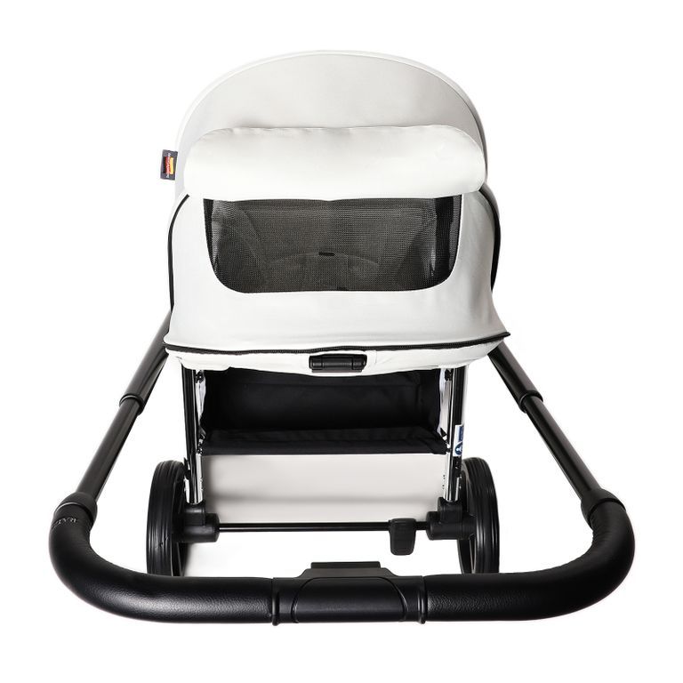 Прогулочная коляска Labala Raiz 2021