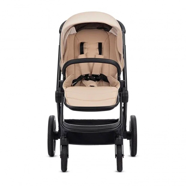 Детская коляска 2 в 1 RAIZ new