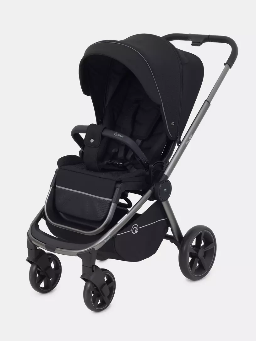 Коляска прогулочная Rant Flex Pro 2023