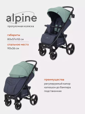 Коляска прогулочная Rant Basic Alpine