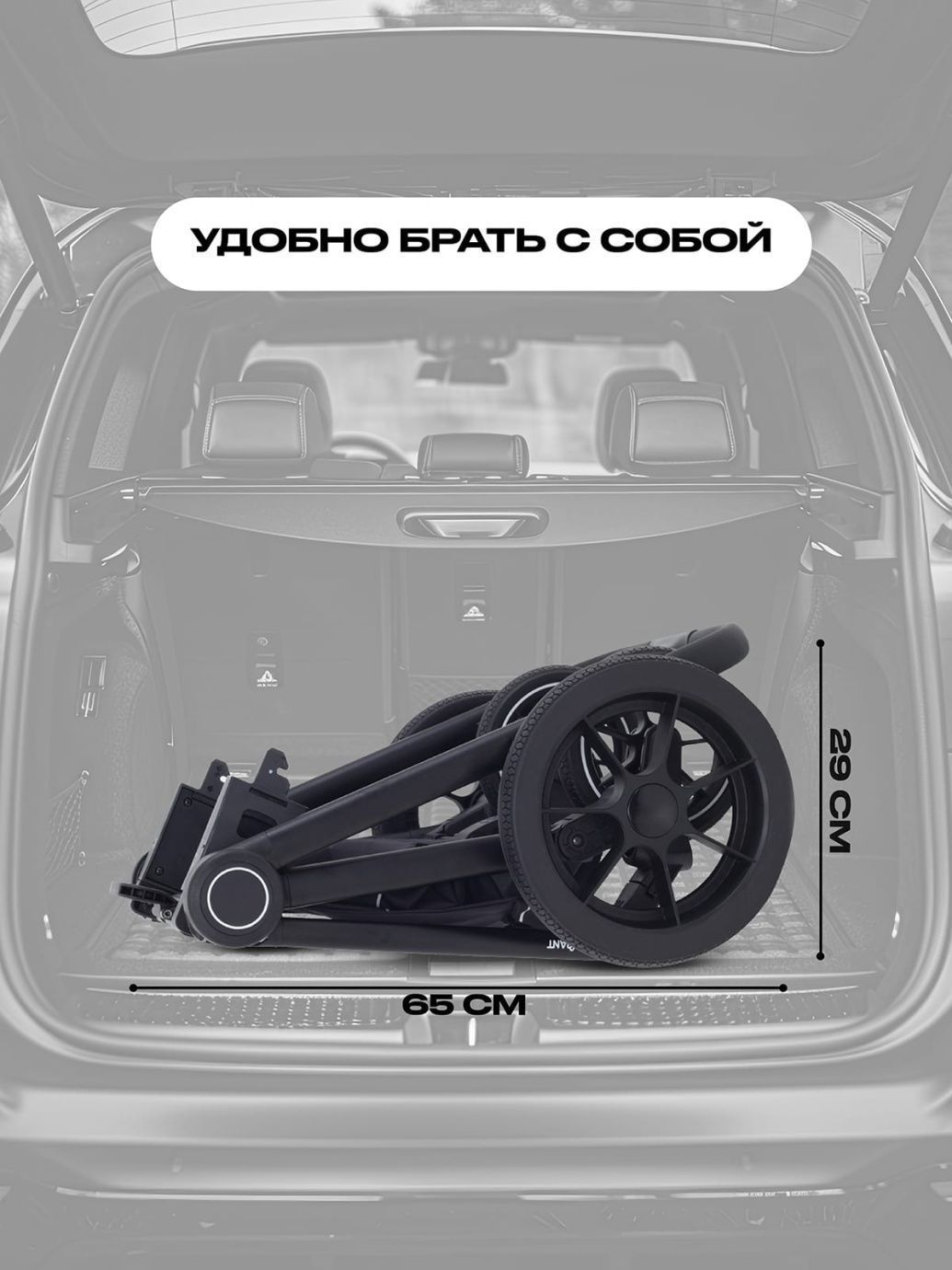 Коляска универсальная Rant Flex 2025