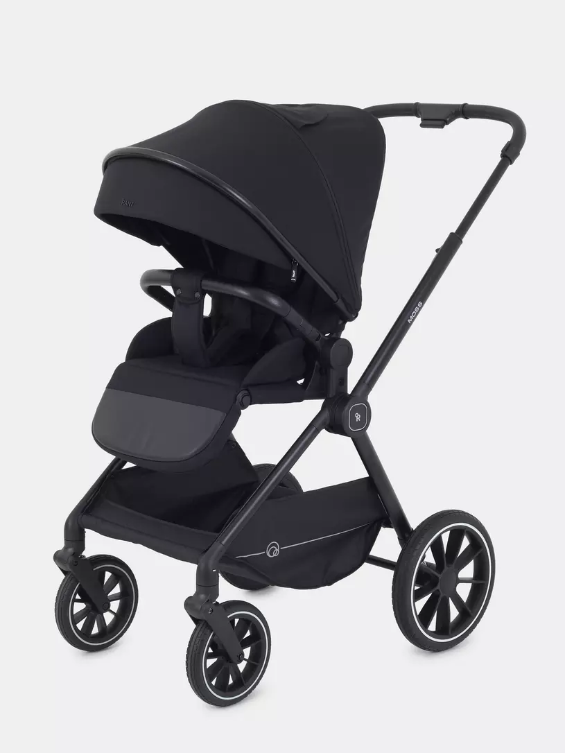 Коляска 2 в 1 RANT MOSS