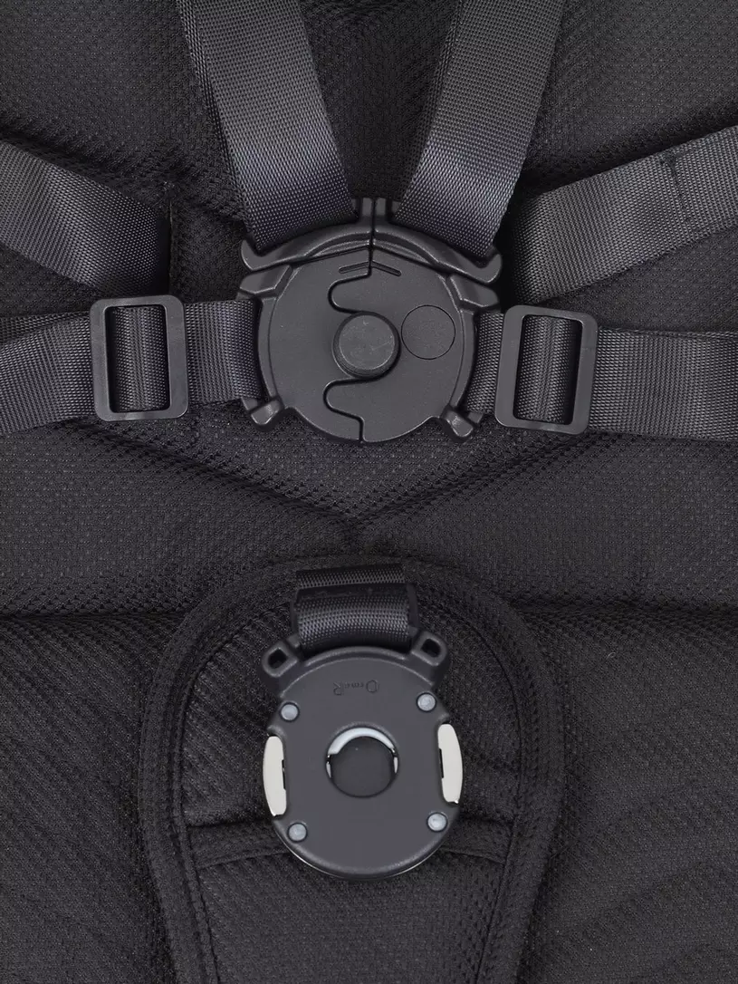 Коляска прогулочная Rant Flex Pro 2023