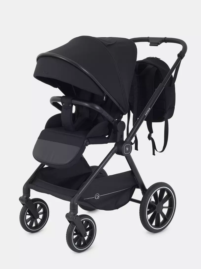 Коляска 2 в 1 RANT MOSS