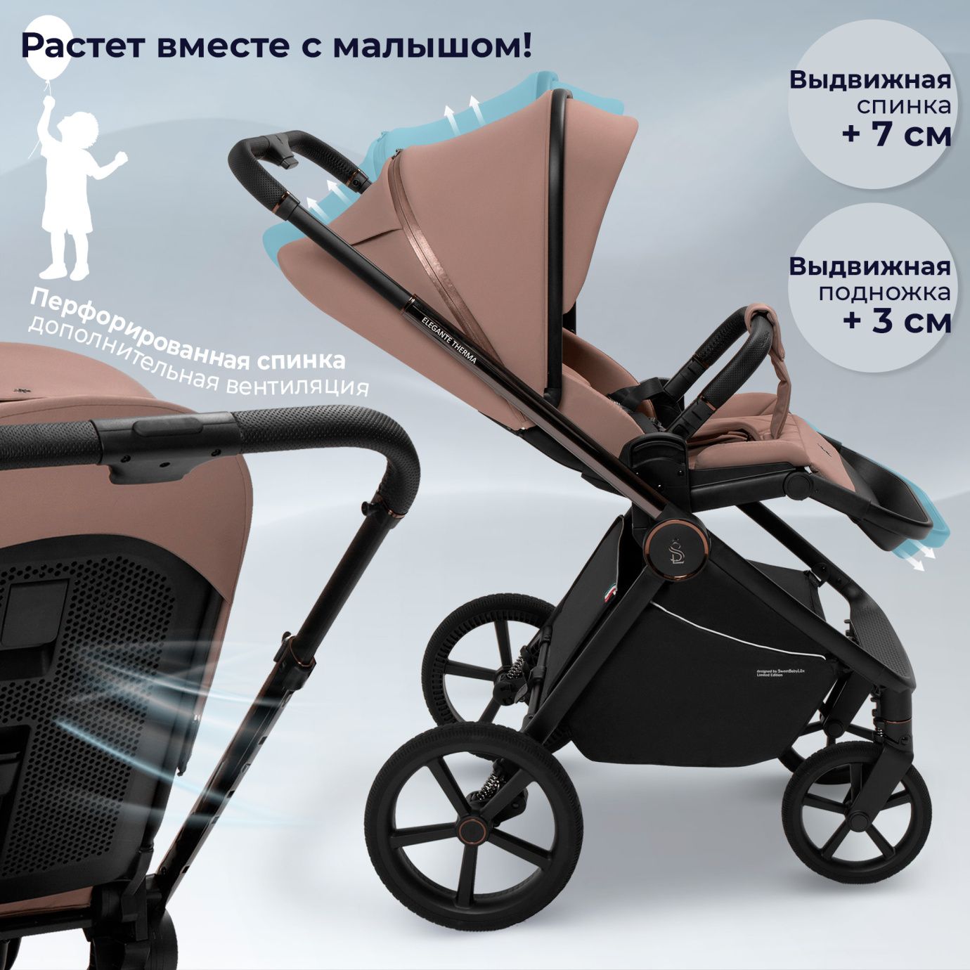 Коляска 2в1 SBL Elegante Therma