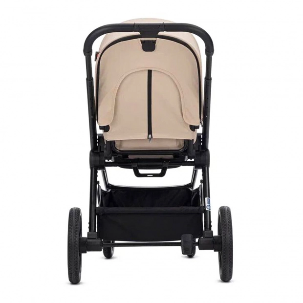 Детская коляска 2 в 1 RAIZ new