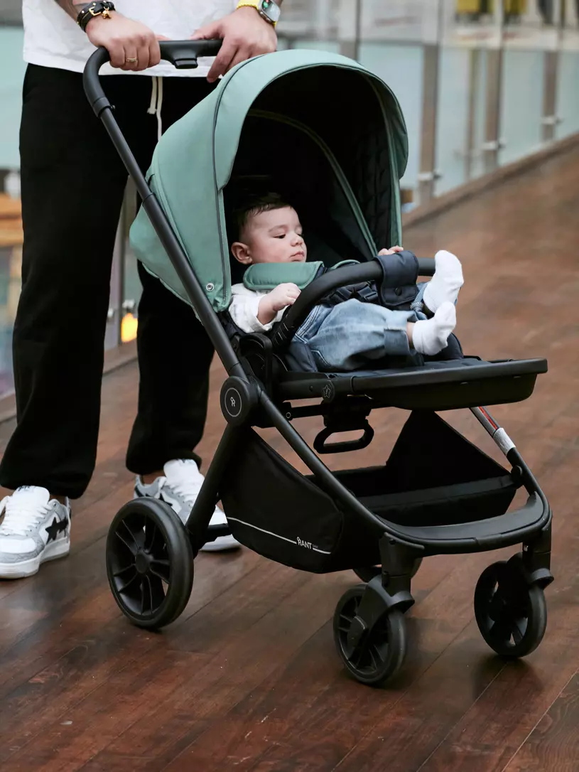 Коляска универсальная Rant Energy