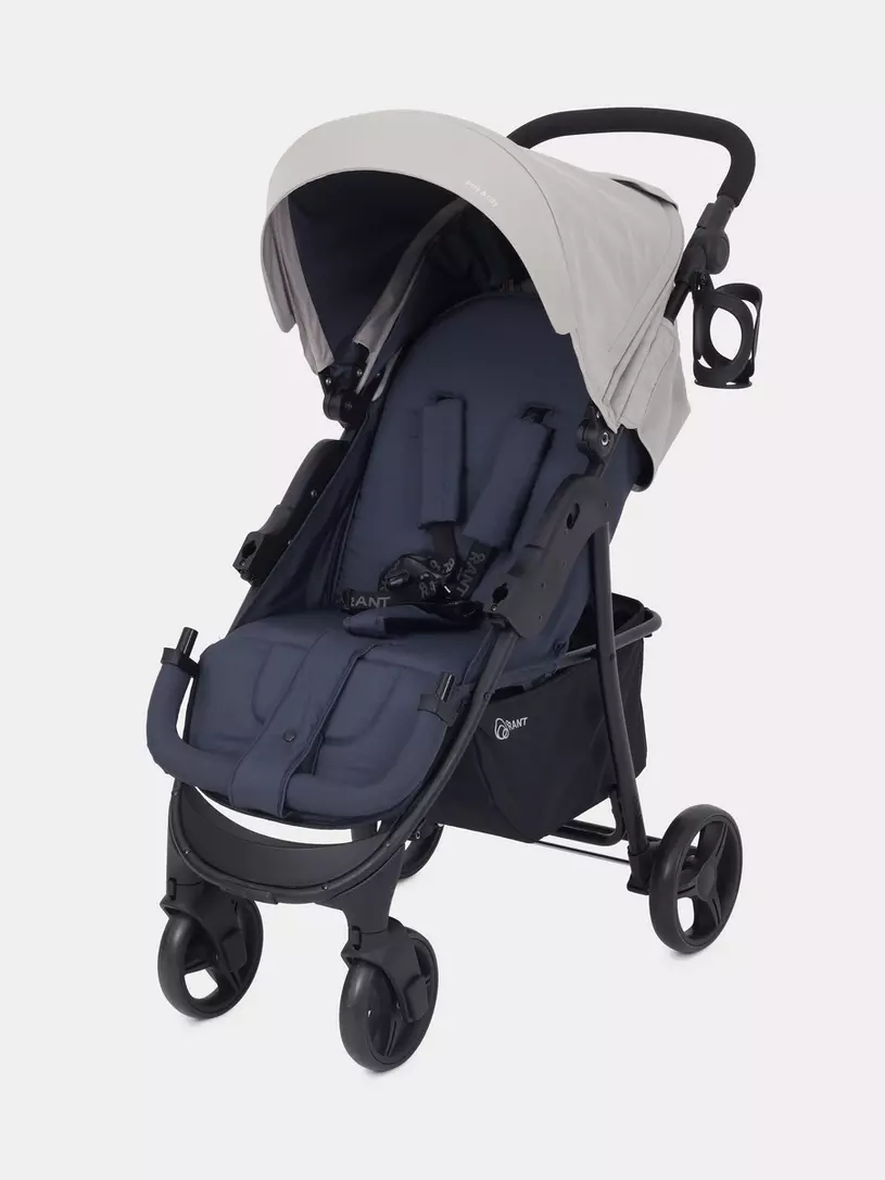 Коляска прогулочная Rant Basic Kira