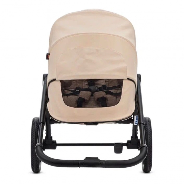 Детская коляска 2 в 1 RAIZ new