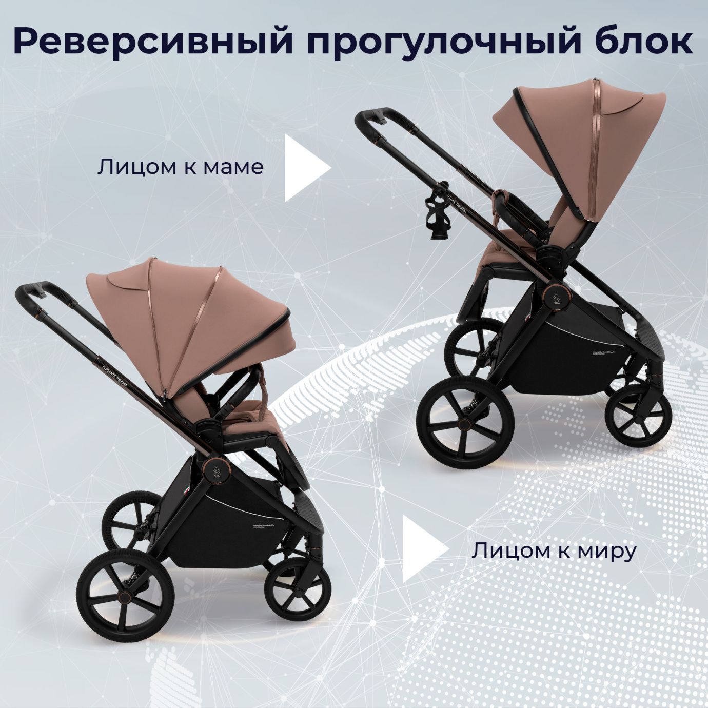 Коляска 2в1 SBL Elegante Therma