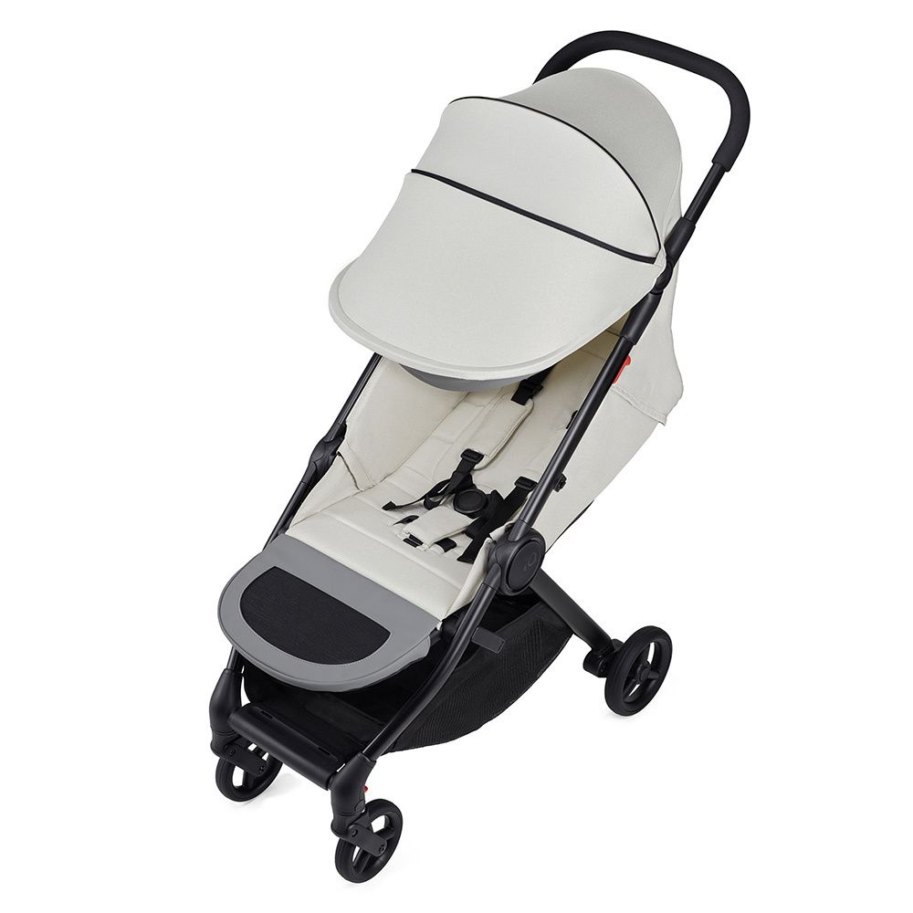 Коляска ANEX iQ 2 в 1