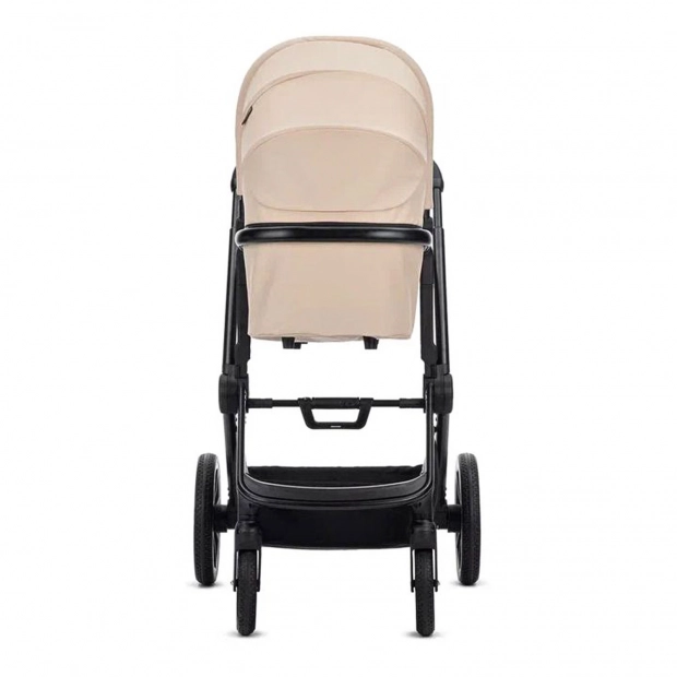 Детская коляска 2 в 1 RAIZ new
