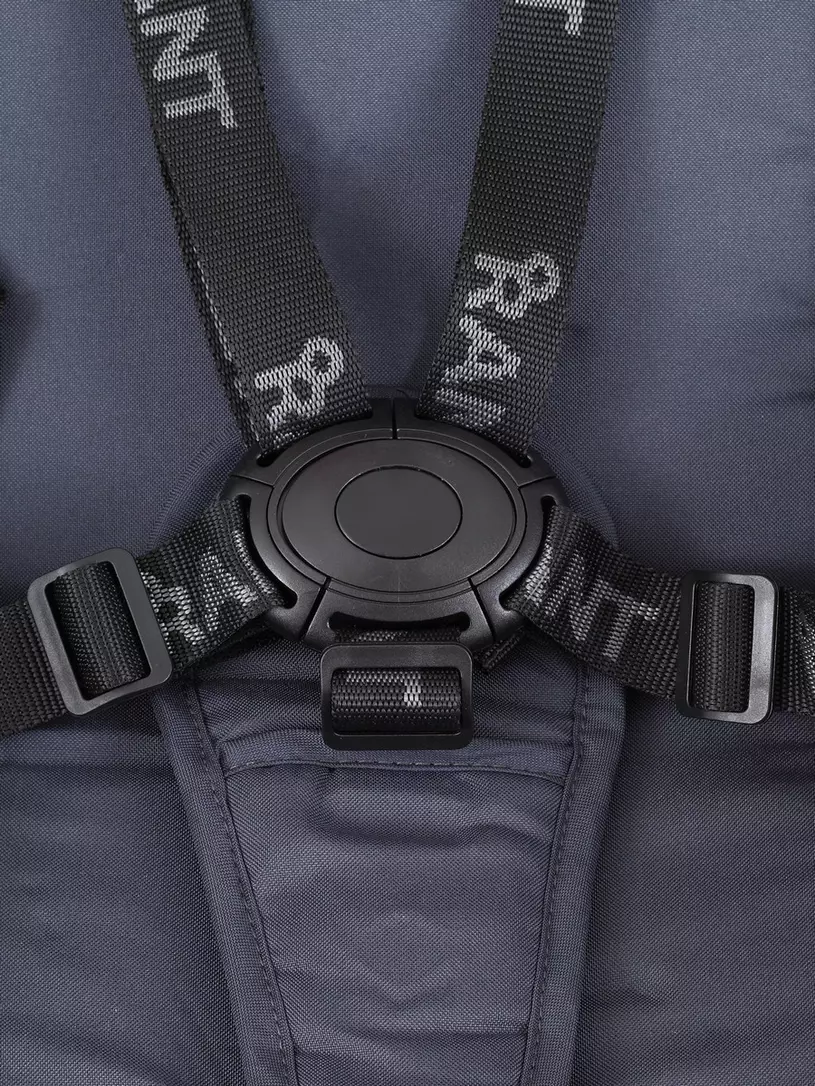 Коляска универсальная Rant Energy