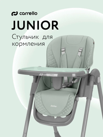 Стульчик для кормления Carrello Junior (Dark Green)