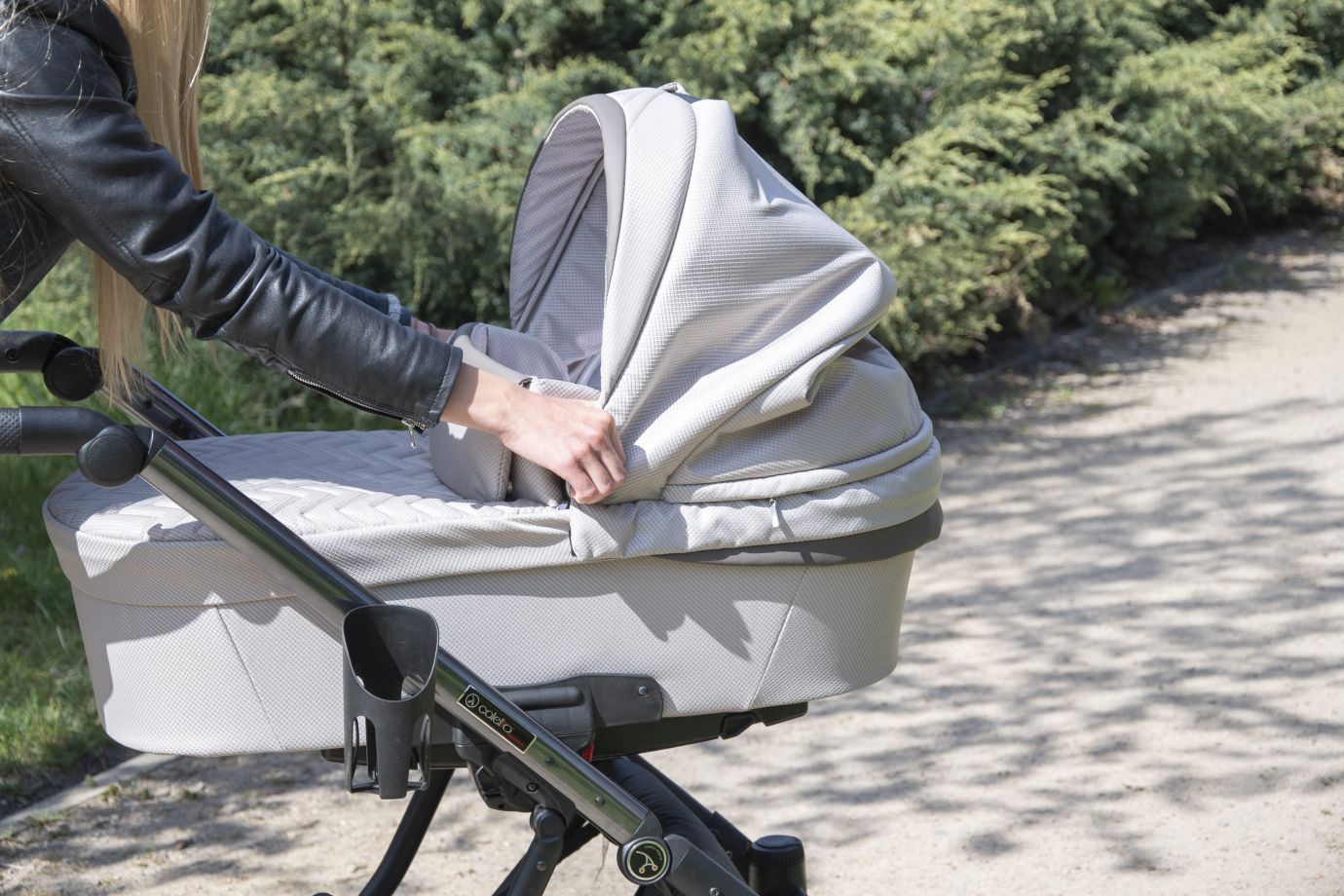 Коляска Coletto Dante