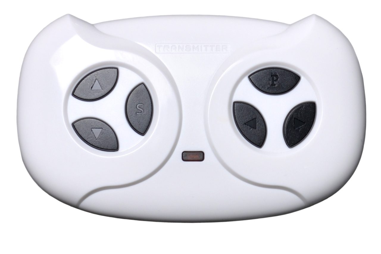 Багги электромобиль TR114