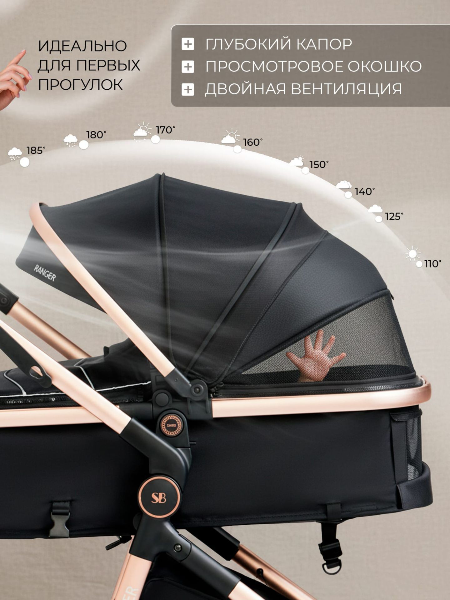 Коляска-трансформер 2в1 Ranger Black Gold