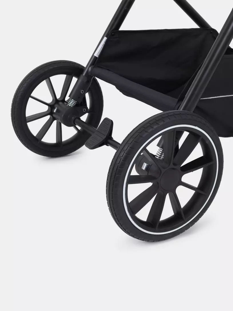 Коляска 2 в 1 RANT MOSS