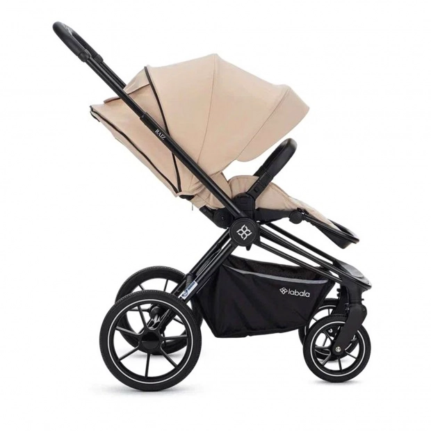 Детская коляска 2 в 1 RAIZ new