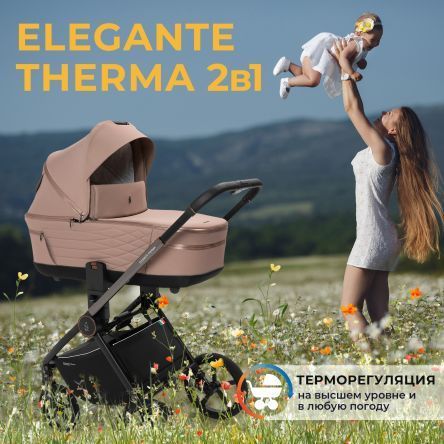 Коляска 2в1 SBL Elegante Therma