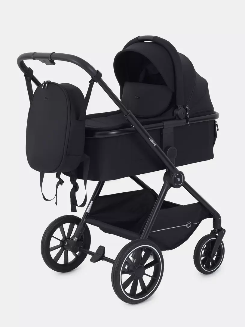 Коляска 2 в 1 RANT MOSS