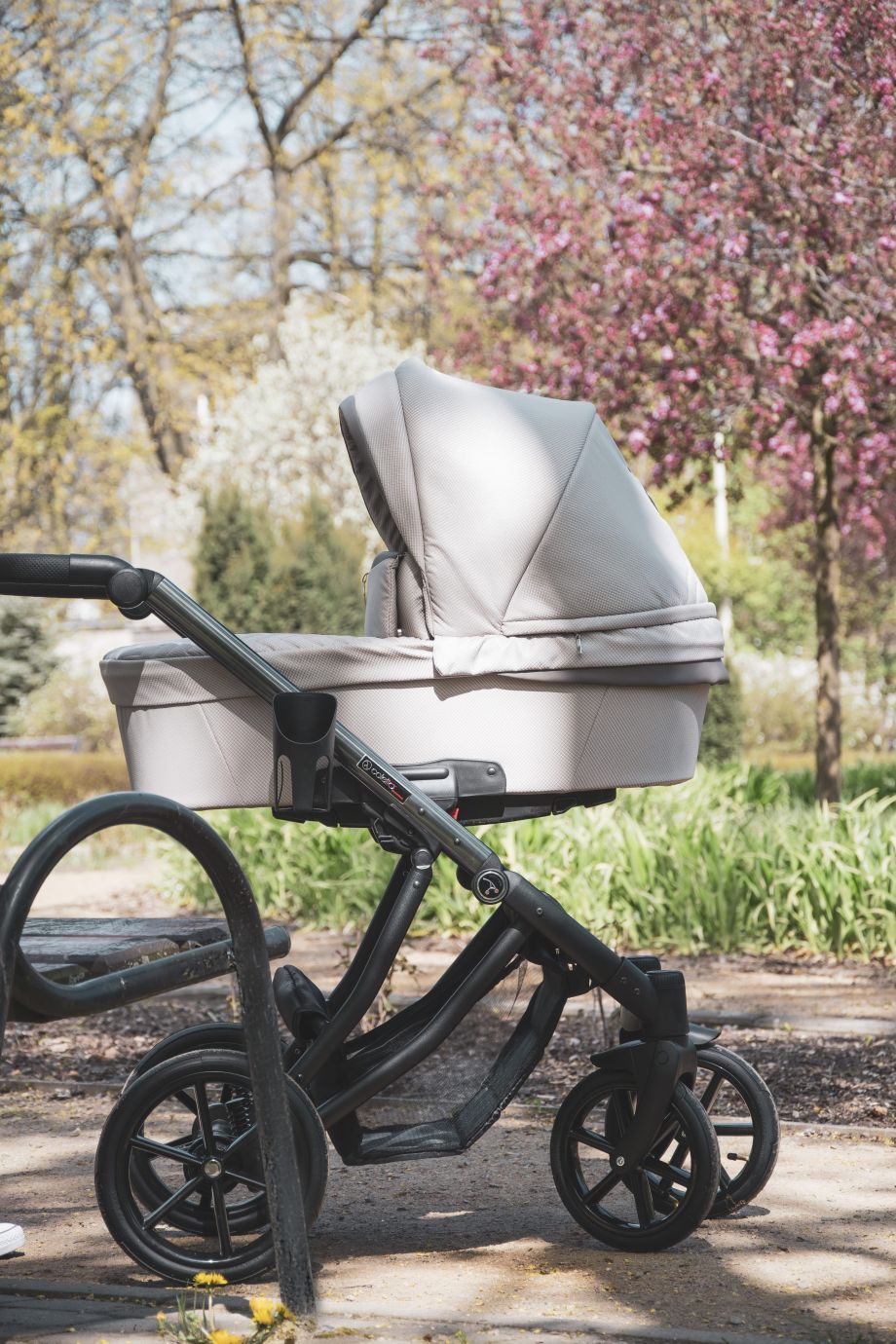 Коляска Coletto Dante