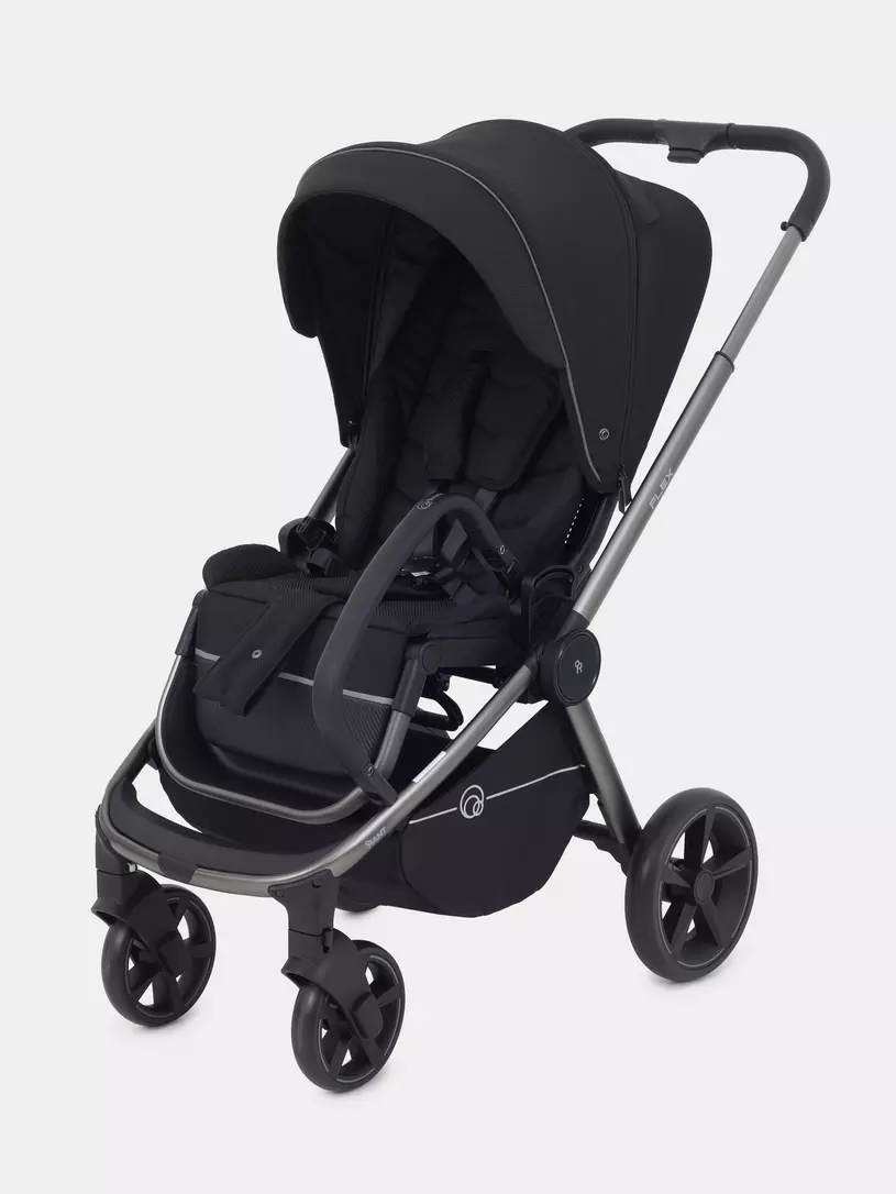 Коляска прогулочная Rant Flex Pro 2023