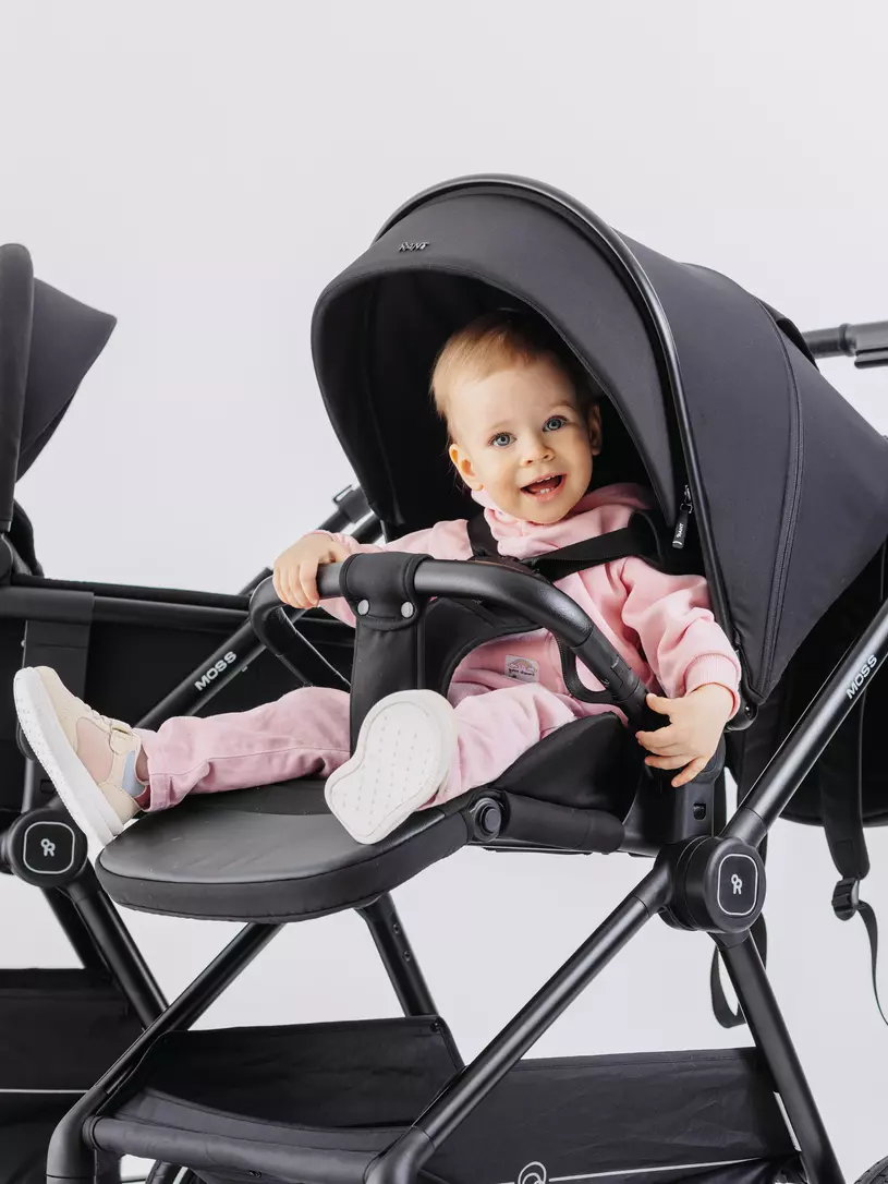 Коляска 2 в 1 RANT MOSS