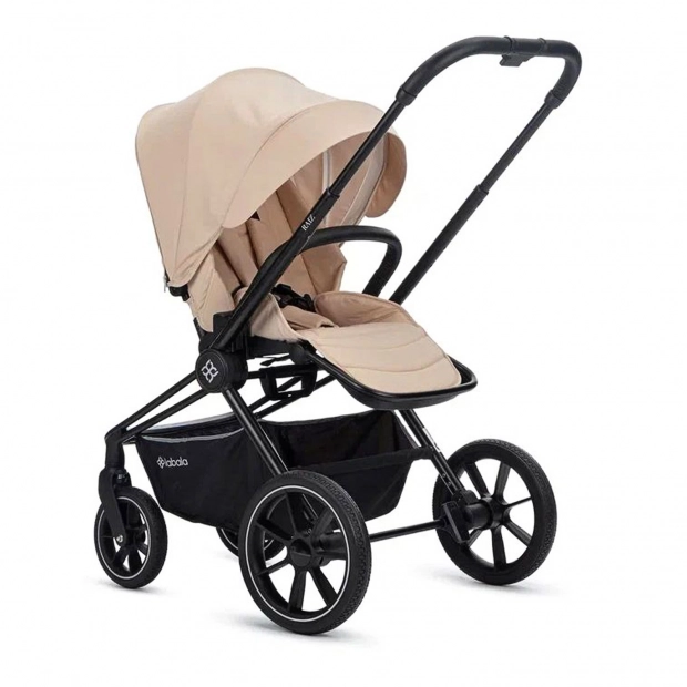 Детская коляска 2 в 1 RAIZ new