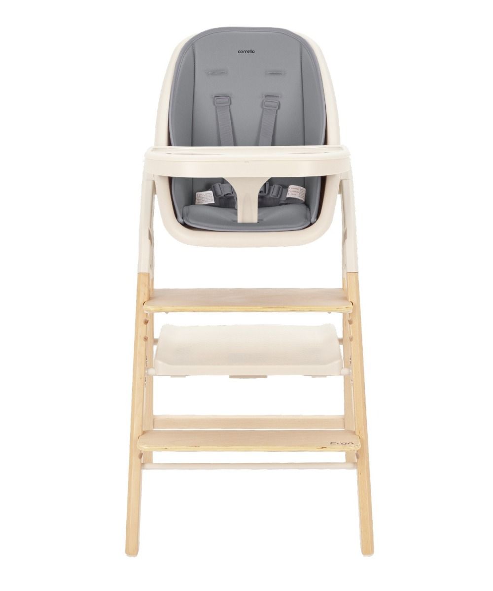 Стульчик для кормления Carrello Ergo, Carbon Grey (Темно-серый)