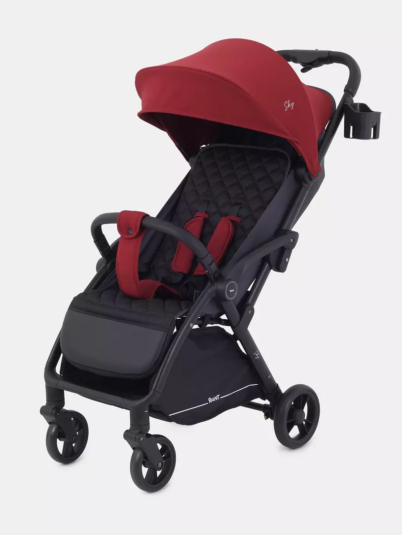 Коляска прогулочная Rant Sky