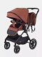 Коляска 2 в 1 RANT MOSS
