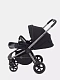 Коляска прогулочная Rant Flex Pro 2023