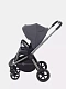 Коляска прогулочная Rant Flex Pro 2023