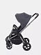 Коляска прогулочная Rant Flex Pro 2023