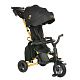 Велосипед трехколесный Qplay S700-13 Nova+ Black (Rub/Gold)