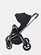 Коляска прогулочная Rant Flex Pro 2023