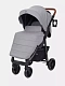 Коляска прогулочная Rant Vega 2023