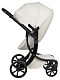 Коляска-трансформер Aimile pro new