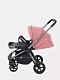 Коляска прогулочная Rant Flex Pro 2023