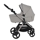 Коляска ANEX iQ Premium 2 в 1 Silvé