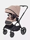 Коляска 2 в 1 RANT MOSS