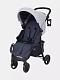 Коляска прогулочная Rant Basic Kira