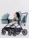 Коляска 2 в 1 RANT MOSS