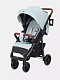 Коляска прогулочная Rant Vega 2023